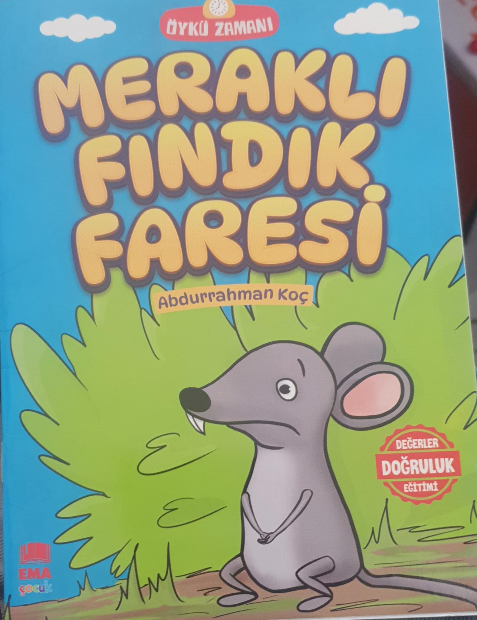 Meraklı Fındık Faresi
